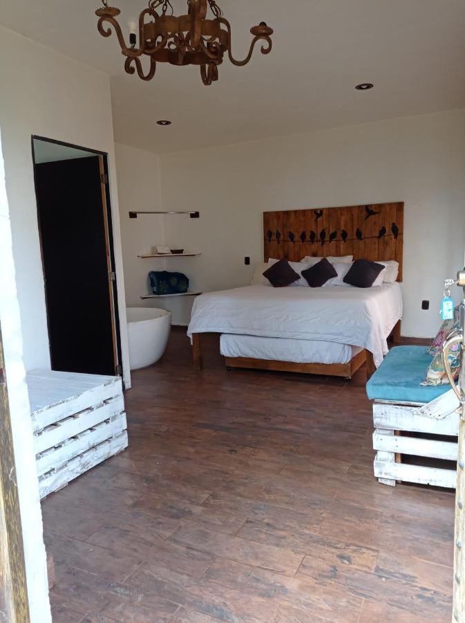 Hotel Cabanas Azul Tequilana Arandas Dış mekan fotoğraf